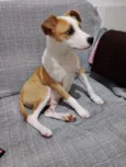 Zé