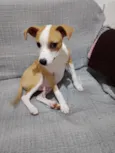 Zé