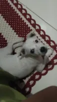 Ted