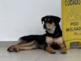 Sem nome