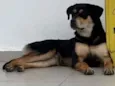 Sem nome