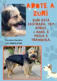ZURI