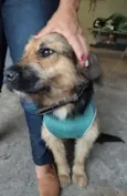 ZURI