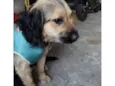 ZURI