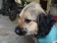 ZURI