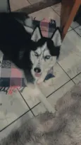 Mirana