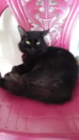 bebê 
