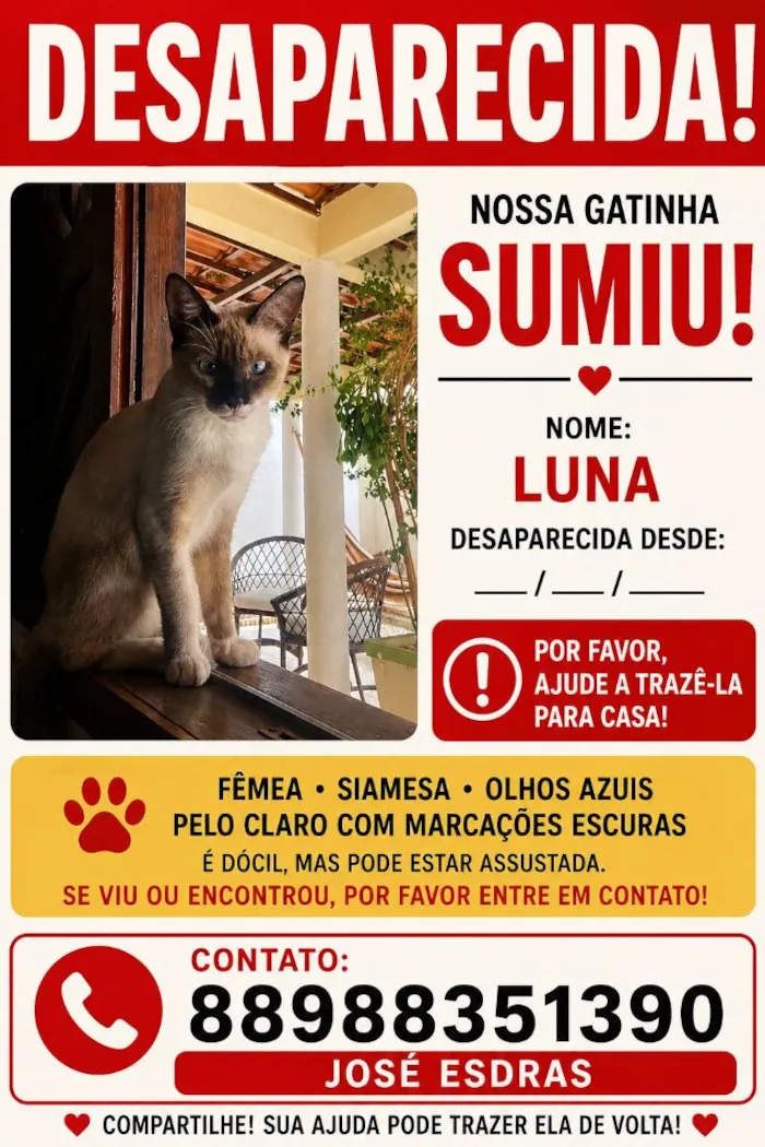 Gato raça Siamês idade 1 ano nome Luna