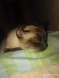 Mily