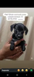Pelé