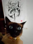 Circe