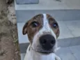 Teco