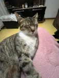 Mel