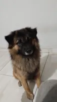 Simba