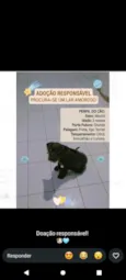 duq
