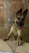 Murilo 