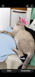 Mel