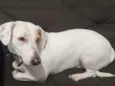 Mel 