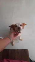 Maya
