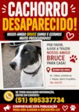 Bruce