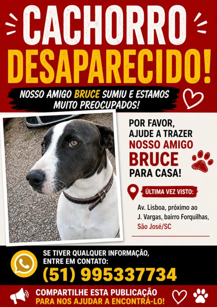 Cachorro raça SRD-ViraLata idade 2 a 6 meses nome Bruce