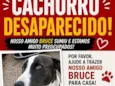 Bruce