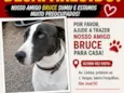 Bruce