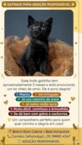 meia noite