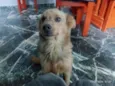 Bob