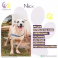 Nick