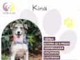 Kina