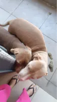 kiara e Pandora