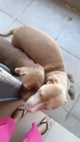 kiara e Pandora