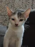 Emy e MeiMei 