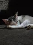 Emy e MeiMei 