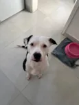Aika