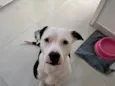 Aika