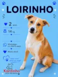 Loirinho 