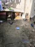 da família 