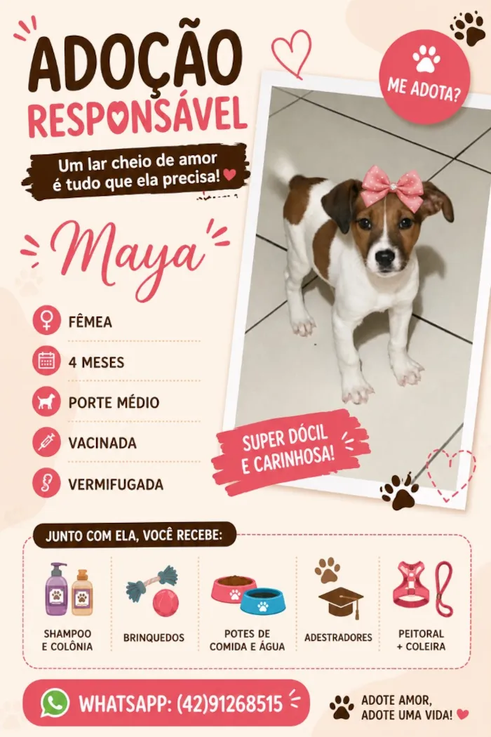 Cachorro raça SRD-ViraLata idade 2 a 6 meses nome Maya