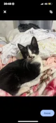 Zoie e pandora