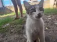 cindy