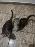 Luna e meg
