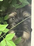 Nome desconhecido