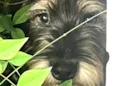 Nome desconhecido