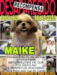 Maiky