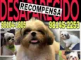 Maiky