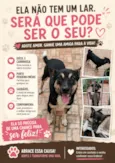 não tem