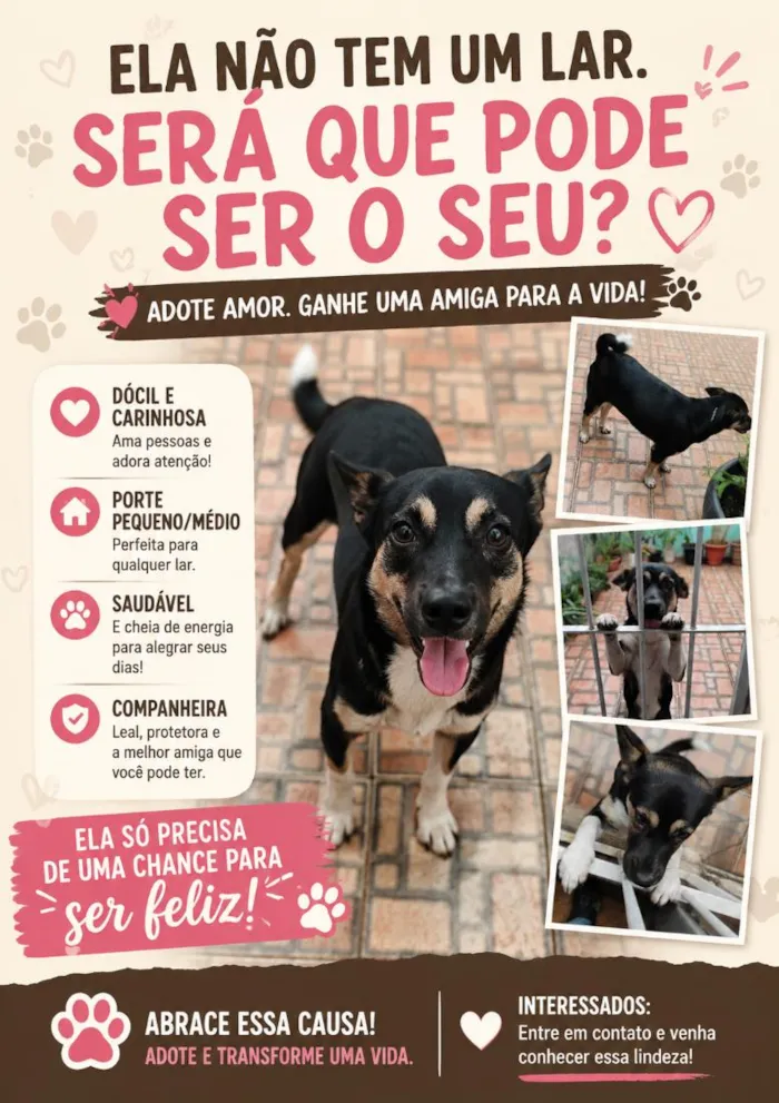 Cachorro raça SRD-ViraLata idade 1 ano nome não tem