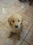 Billy